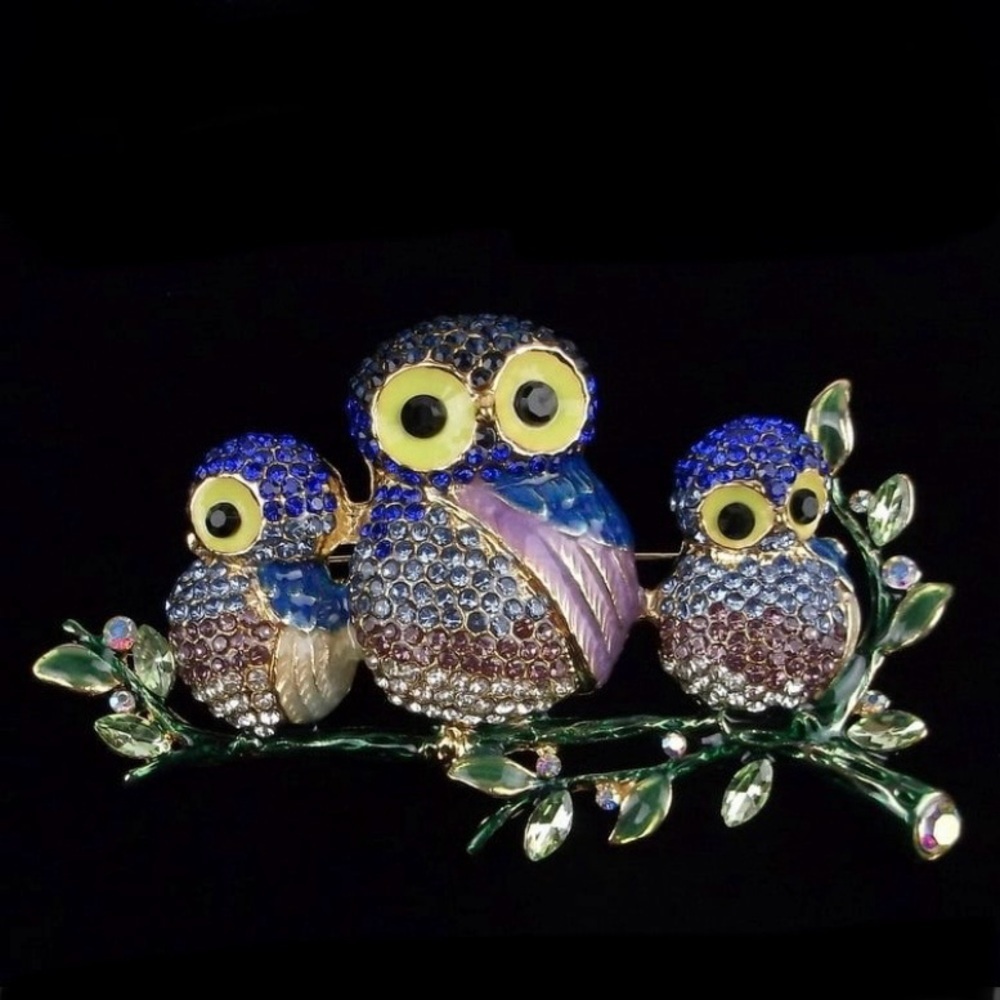 Big Enameled Rhinestone Owl Family Brooch